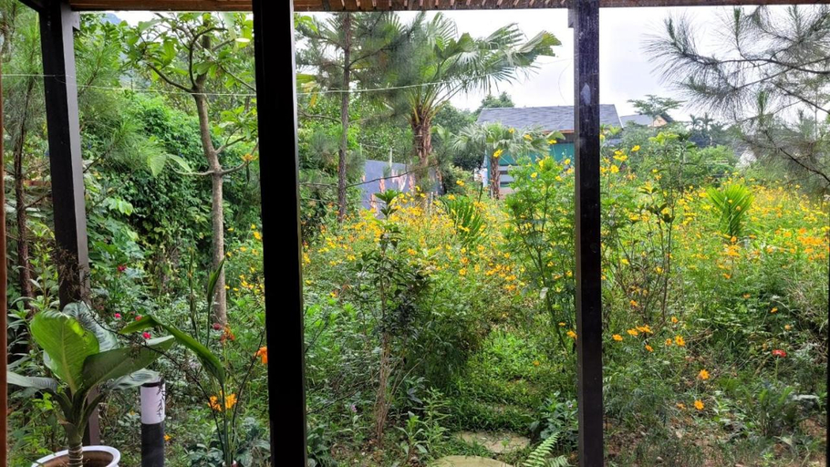 Others 1, Soc Son - Bird House, Sóc Sơn