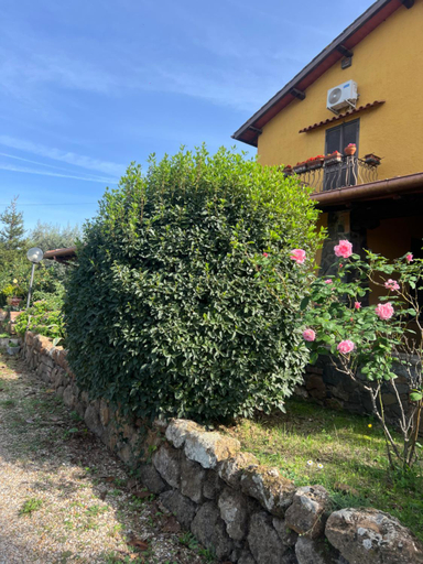 Others 5, Bed&Breakfast Le Villette, Rome