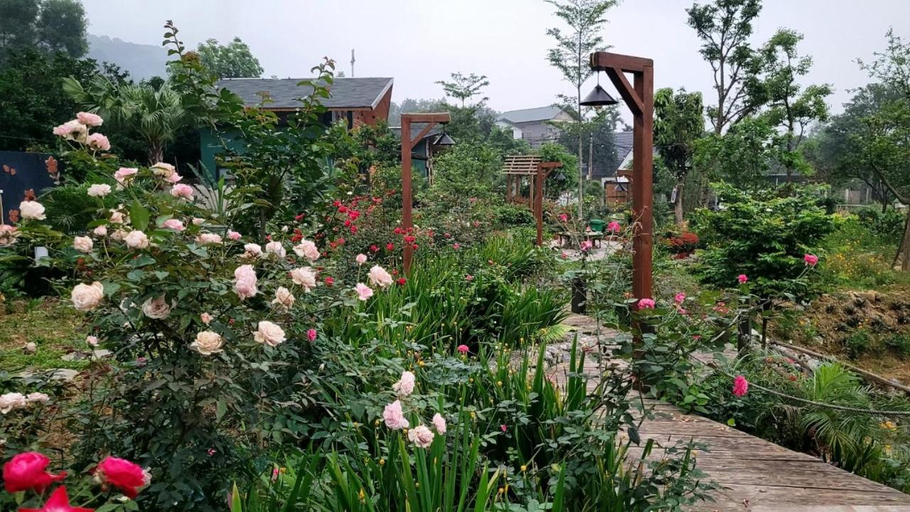 Others 5, Soc Son - Bird House, Sóc Sơn