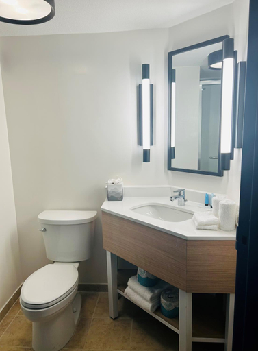 Bathroom, Spark by Hilton Tampa Brandon, Hillsborough