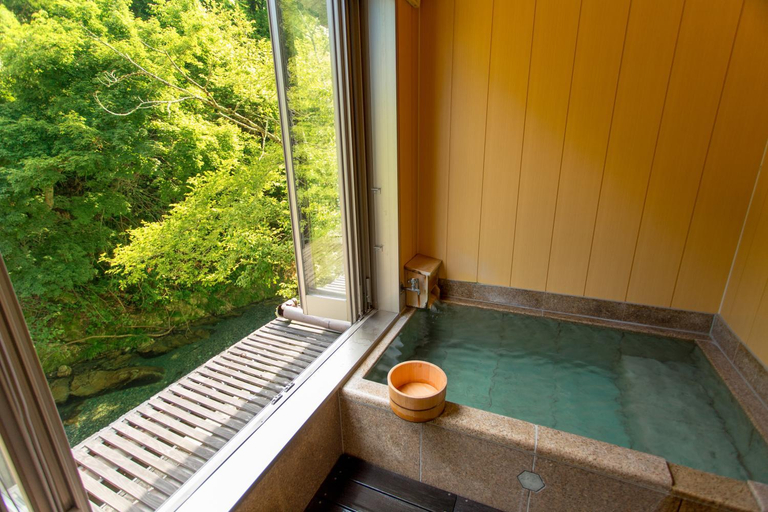 Bathroom 4, Honke Bankyu Hot Spring Ryokan, Nikkō