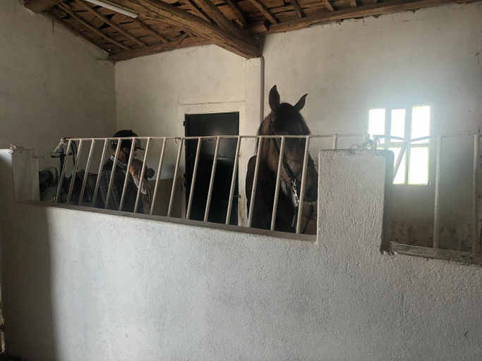 Others 2, CASA DAVID-con cuadras para caballos, A Coruña