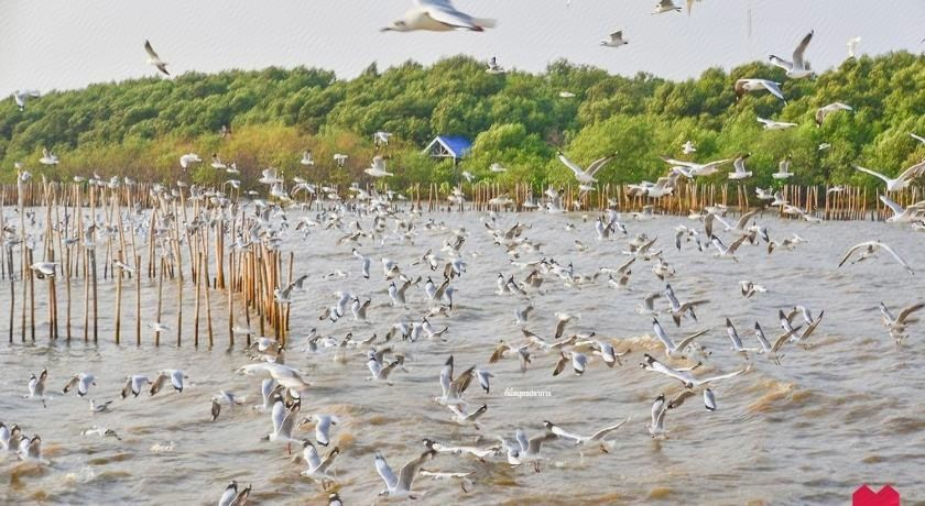 Others 3, สถานตากอากาศบางปู Bang Pu Recreation Center SHA Plus, Muang Samut Prakan