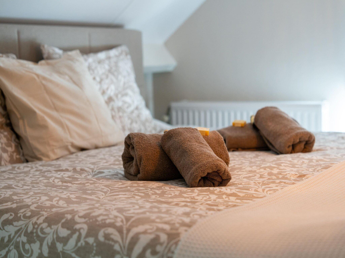 5, Cozy Villa w Sauna and BBQ, Oldebroek