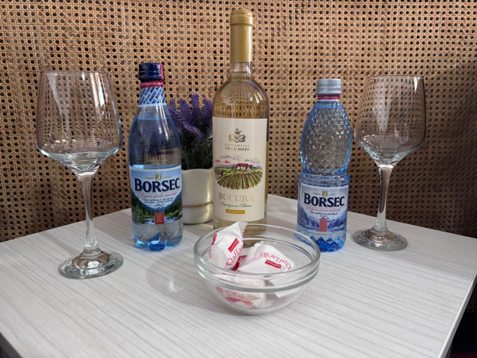 Food & Drinks 5, Hotel Dambovita, Targoviste