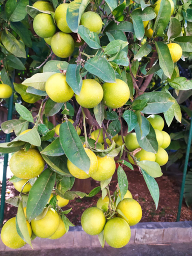 Food & Drinks, La Rugiada-con giardino e parcheggio moto privato, Trapani