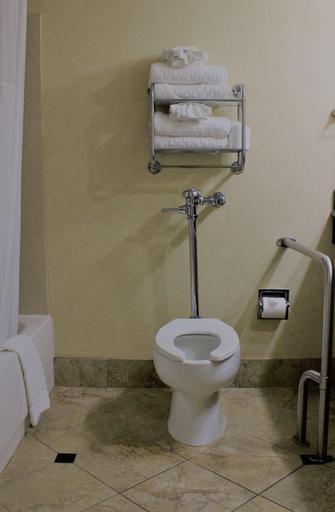 Bathroom 3, Best Western Plus Burlington, Alamance