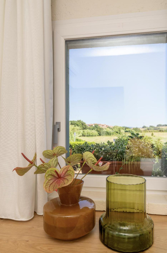 Others 5, Scarlea Rooms, Livorno