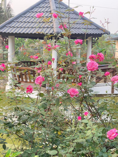 Others 4, Hoang Yen Garden Villa Bavi - Venuestay, Ba Vi