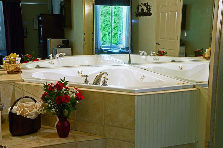 Bathroom 4, The Lodge at Banner Elk, Avery