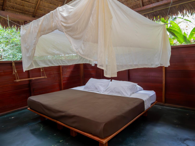 Others 5, Hacienda Herrera Tambopata, Tambopata