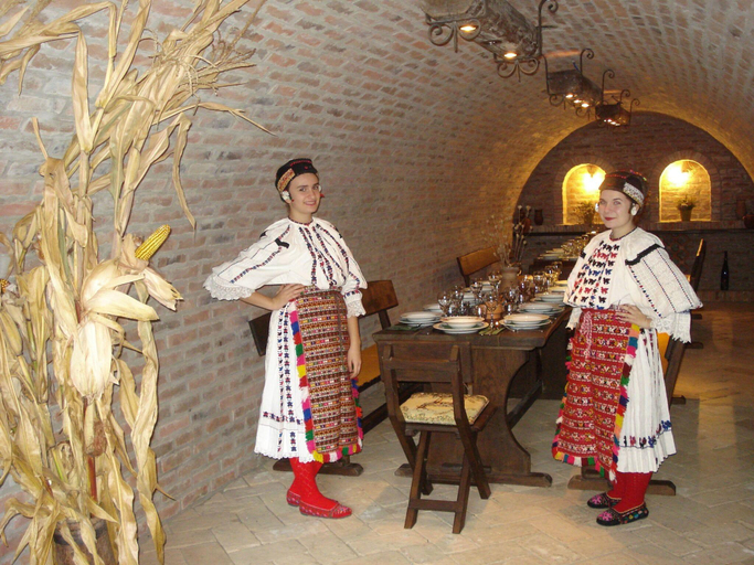 Food & Drinks 4, Farmhouse in Draz for 6 people, Draž