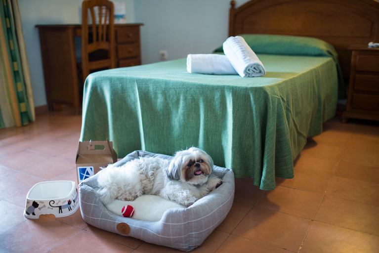 Bedroom, Azuline Hotel Galfi, Baleares
