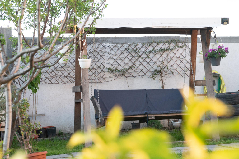 Others 5, Casa Dumitrescu, Navodari