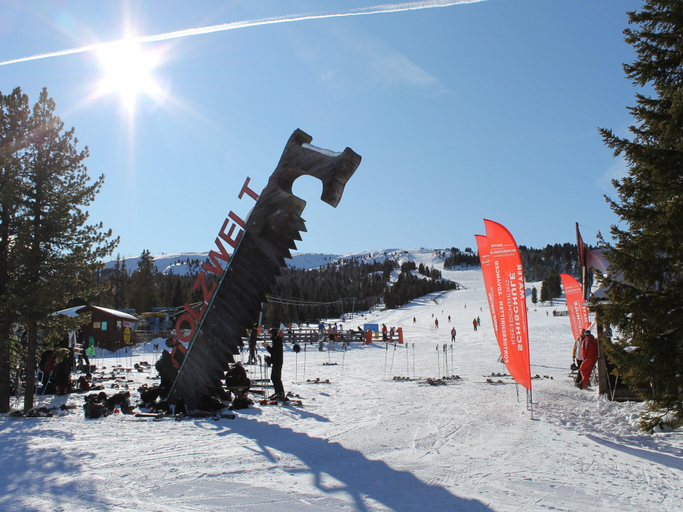 Others 5, Lively chalet near ski-slope, Murau