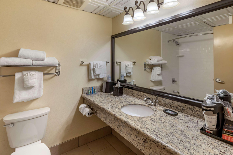 Bathroom 4, Best Western Brighton Inn, Adams