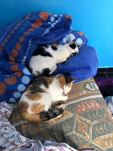 Others 5, Moroccan Family House, Agadir-Ida ou Tanane