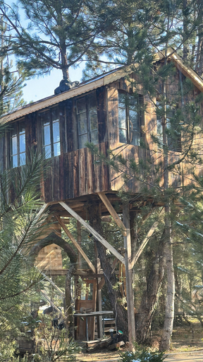 Exterior & Views, Lepista Garden, Mengen