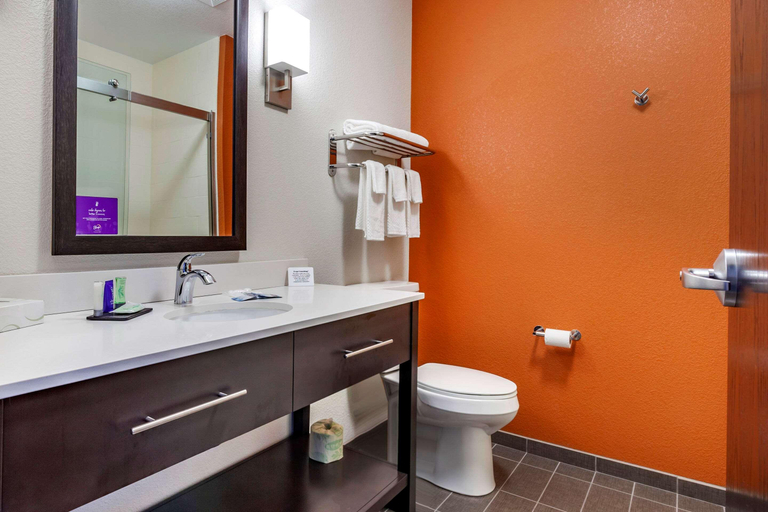Bathroom, Sleep Inn & Suites Lancaster-Platteville, Grant