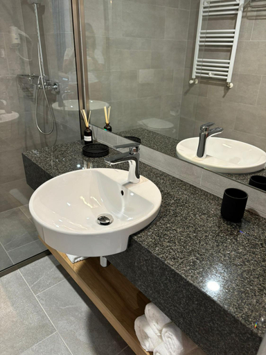 Bathroom 2, Harmony Rooms, Sovata