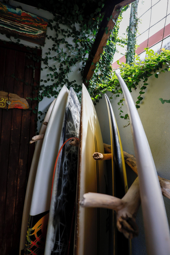 Others 5, The Cafecito Surf School & Guesthouse, Puntarenas