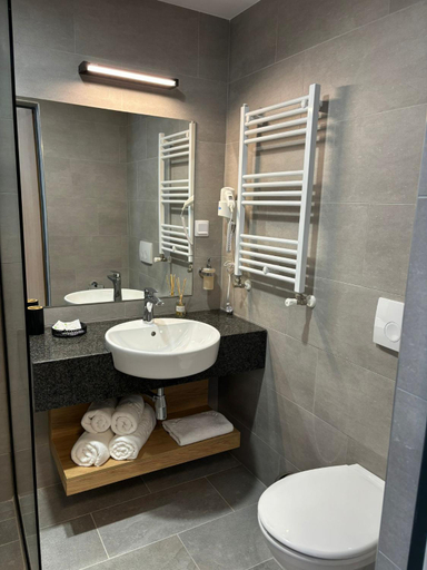 Bathroom 5, Harmony Rooms, Sovata