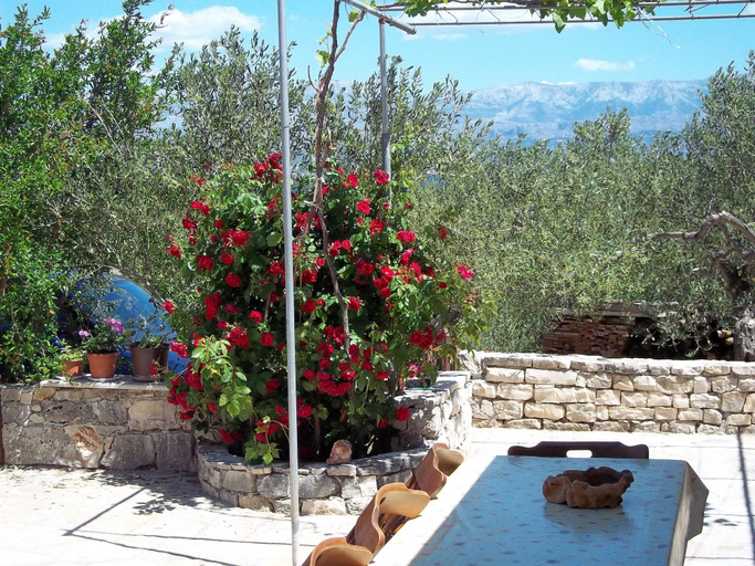 Sport & Beauty, Holiday Home in Mirca with terrace, Supetar