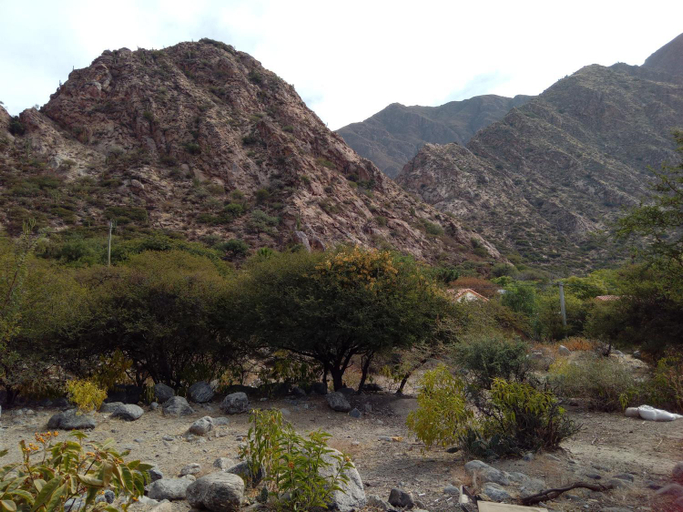 Others 2, Crisol., Cafayate
