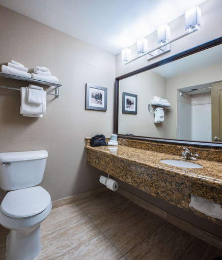 Bathroom 4, Best Western Plus Fernie Mountain Lodge, East Kootenay