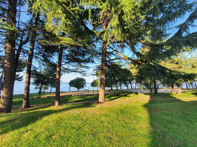 Others 4, Youth Hostel Pinesta, Novigrad