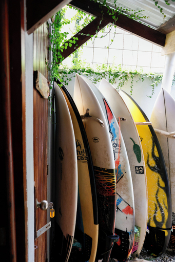 Others 4, The Cafecito Surf School & Guesthouse, Puntarenas