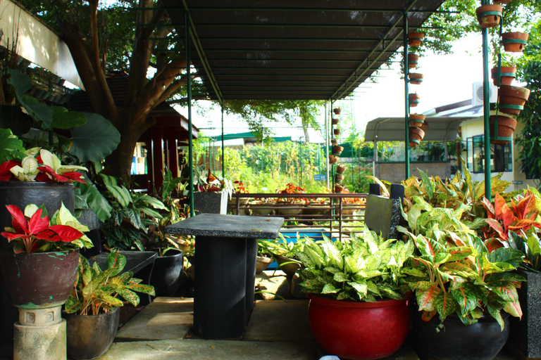 Others 4, MaClare Resort, Imus