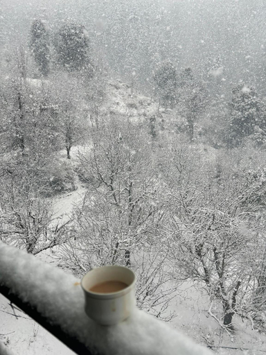 Sport & Beauty, Peace Inn Cafe and kasolview homestay, Kullu
