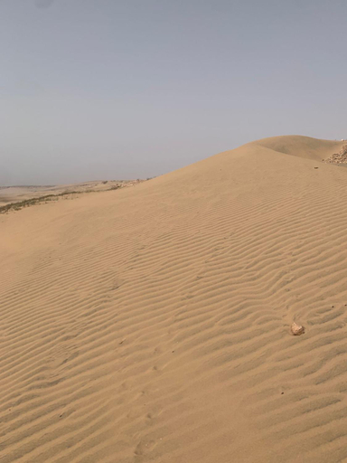 Beach 2, The berber beach, Essaouira