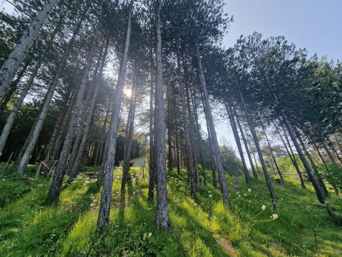 Scenery 11