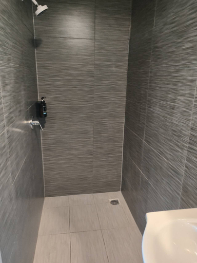 Bathroom 3, 1 Double and 1 sofa bed Studio, Waitakere