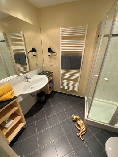 Bathroom 5, Hotel Panther'A, Zell am See