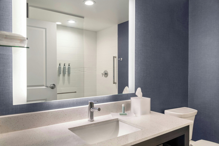 Bathroom 3, Residence Inn By Marriott Detroit Dearborn, Wayne