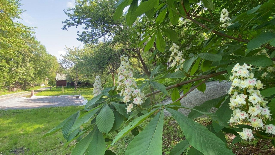 5, Garden View vacation home in Granna, Jönköping