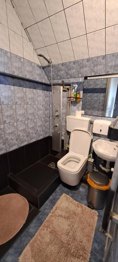 Bathroom 3, Sarkany Lak Budapestnel, Budapesti
