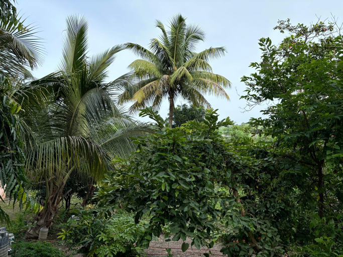 Others 4, Gurukurpa Bhakt Nivas, Aurangabad