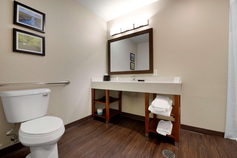 Bathroom 4, Comfort Inn & Suites North Mankato, Nicollet