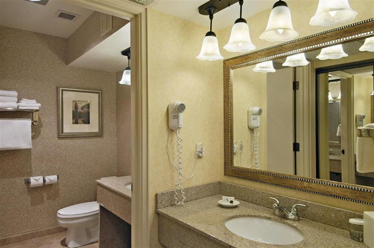 Bathroom 4, Red Lion Hotel Pasco Airport & Conference Center, Franklin