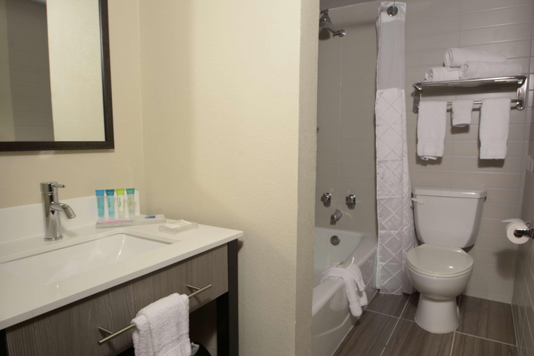 Bathroom 4, Best Western Hotel Montgomery, Manche