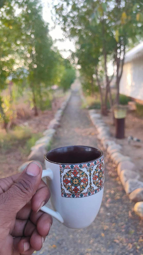 Food & Drinks 4, Kross Adventure Campsite, Jawai Dam, Pali