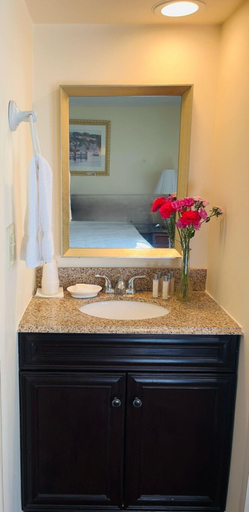 Bathroom 3, Americas Cup Inn, Newport