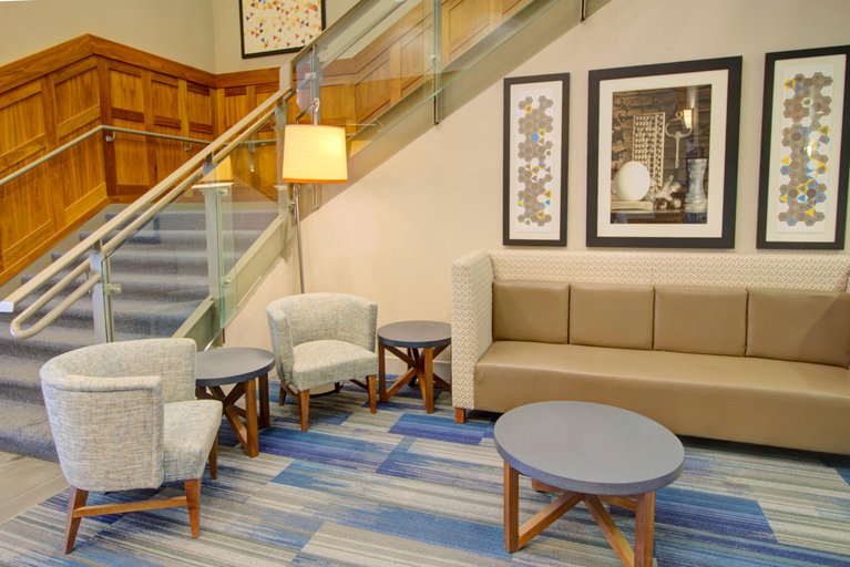 Public Area 4, Holiday Inn Express & Suites MANKATO EAST, Blue Earth
