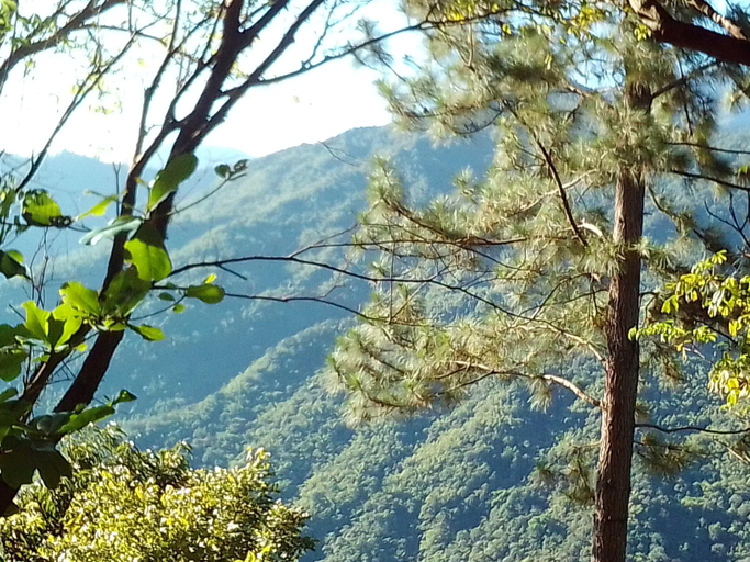 Others 4, Blue Mountain Wilderness Retreat Jamaica House