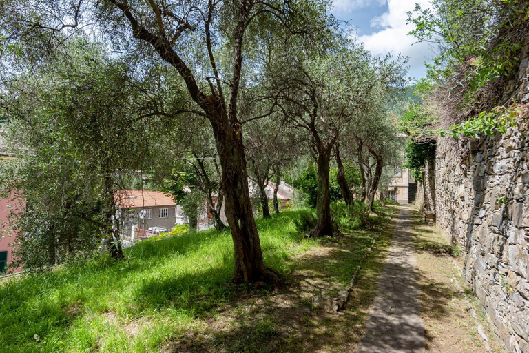 Entrance 2, Mulinetti Houses, Genova
