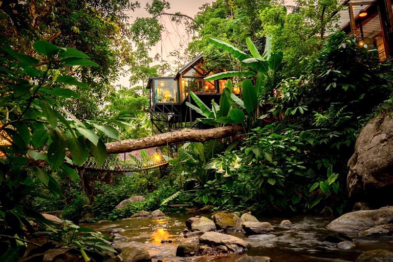Scenery 8